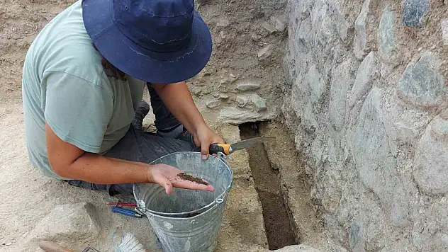Üzüm tarımının tarihi yolculuğu gün yüzüne çıkarılacak