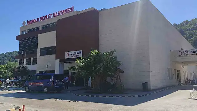 Üzüm yaprağı toplarken düşen kadın hayatını kaybetti
