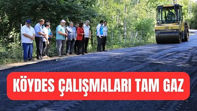 Vali Arslan'dan inceleme