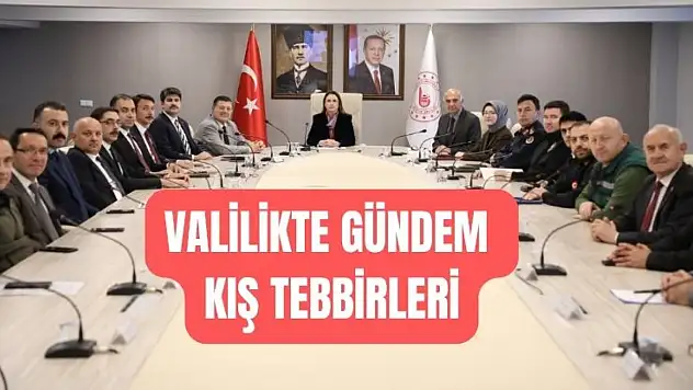 Vali Arslan'dan 'Üzerinize düşen görevi yapın' talimatı