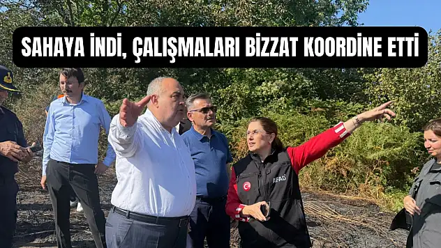 Vali Arslan yangın bölgelerinde