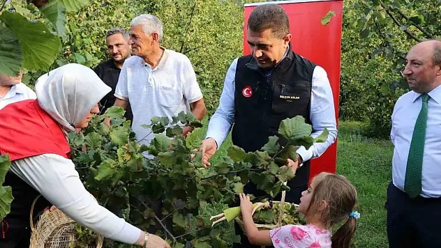 Vali Aslan, önce horon oynadı ardından hasat sezonunu açtı