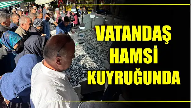 Vatandaş hamsi kuyruğunda