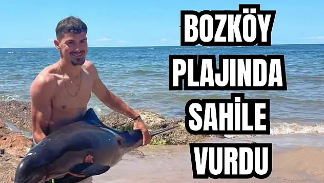 Vatandaşlar kurtardı