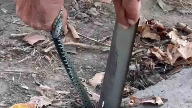 Vatandaştan yılan kurtarma operasyonu