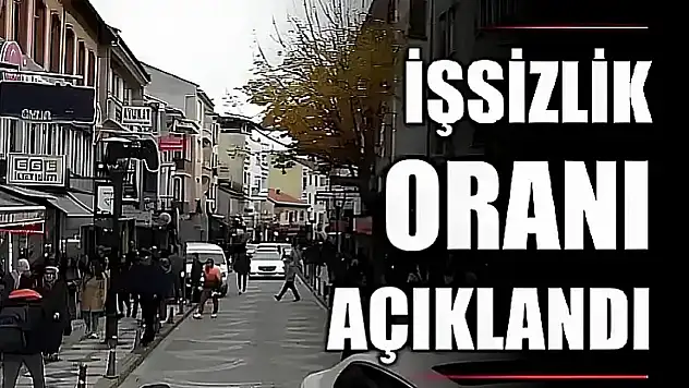 Veriler açıklandı