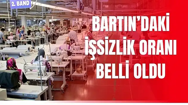 Veriler açıklandı