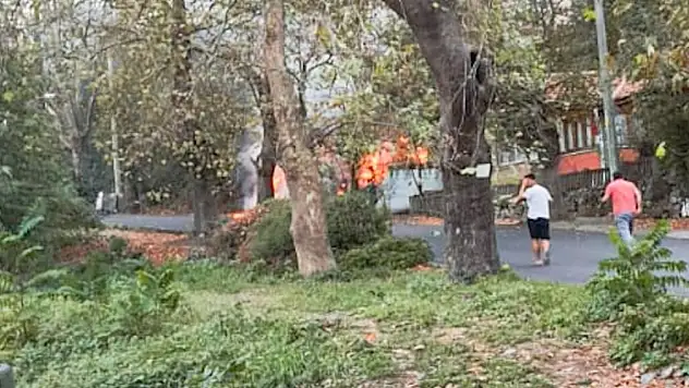 Çalılık yangını tehlike yarattı