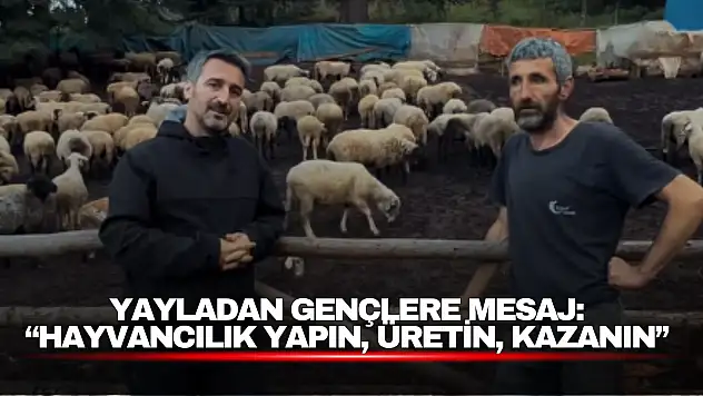 Yayladan Gençlere Mesaj: 'Hayvancılık Yapın, Üretin, Kazanın'