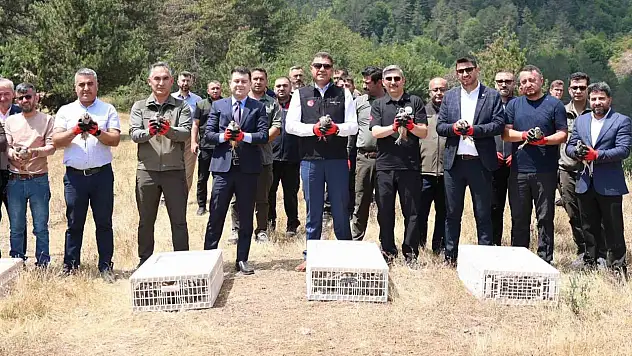 Yaylatepe'de 500 keklik doğaya salındı