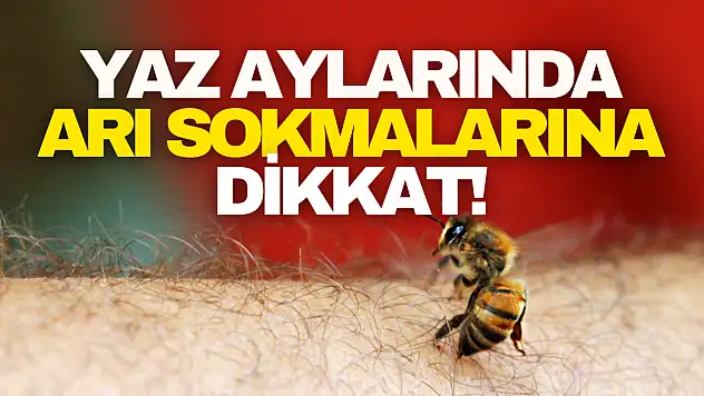Yaz Aylarında Arı Sokmalarına Dikkat