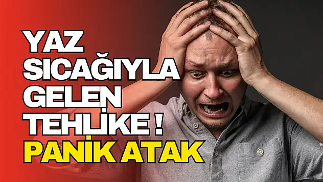 Yaz Sıcağıyla Gelen Tehlike
