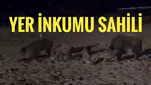 Yer İnkumu sahili