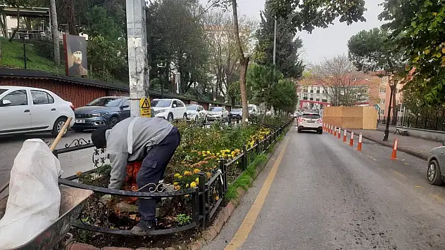 Yeşil alanlarda çevre düzenlemeleri