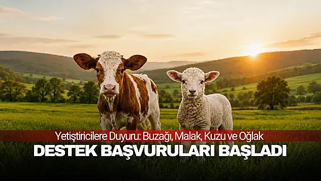 Yetiştiricilere Duyuru: Destek Başvuruları Başladı