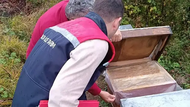 Yığılca'da ekipler sahada tek tek sayıyor