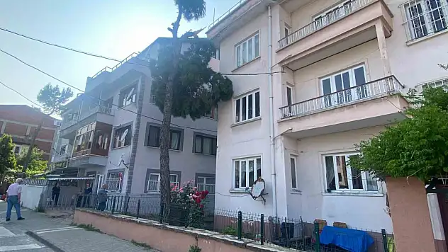 Yıkılma tehlikesi olan ağaç itfaiye ekipleri tarafından kesilecek