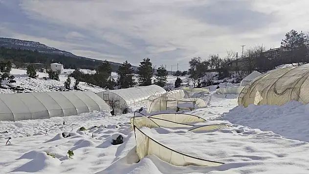 Yoğun kar çok sayıda serayı yıktı