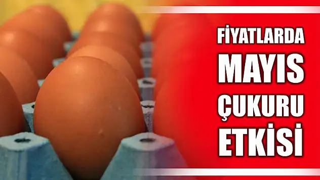 Yumurta fiyatına Mayıs çukuru etkisi