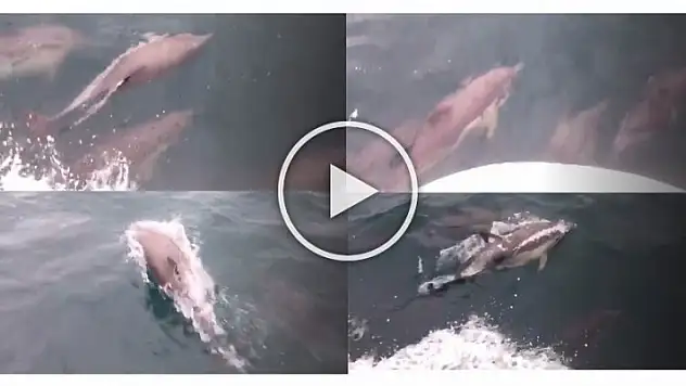 YUNUSLAR TEKNEYE EŞLİK ETTİ