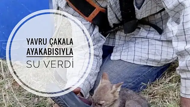 Yürek ısıtan görüntü