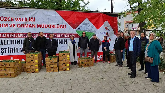 Yüzde 75'i bakanlık destekli fideler çiftçilere dağıtıldı