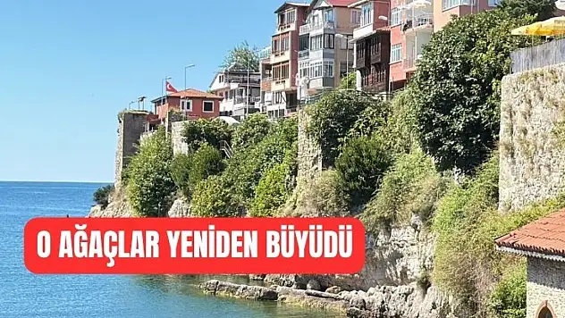 Zarar vermeye devam ediyor