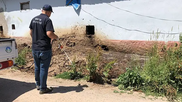 Zararlılara karşı mücadele sürüyor