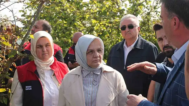 Zirai donun etkilediği yerde inceleme