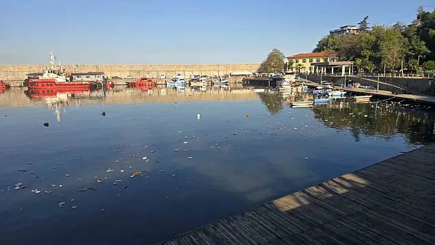 Zonguldak Limanı'nda çevre kirliliği dikkat çekti