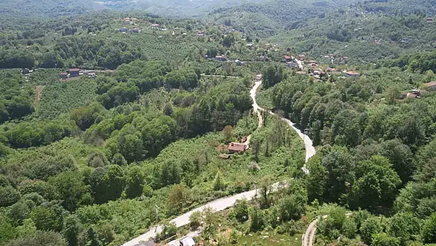 Zonguldak ormanları baharın gelişiyle dronla görüntülendi