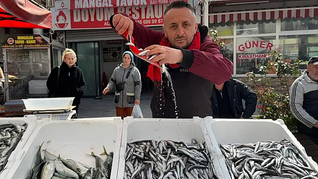 Zonguldak'ta balık tezgahlarında Ramazan mesaisi hamsi 100 liradan satılıyor