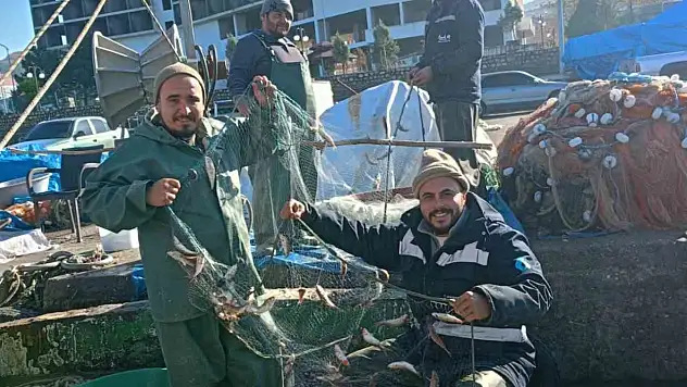 Zonguldak'ta barbun balığı bereketi