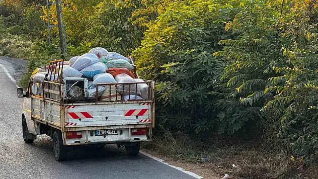 Zonguldak'ta fındık hasında köylüler fındık toplayıcıların gürültüsünden şikayetçi
