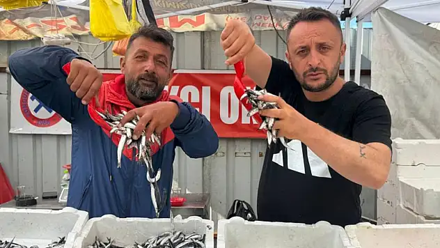 Zonguldak'ta hamsinin fiyatı 75 liraya düştü