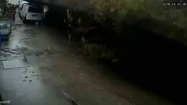 Zonguldak'ta istinat duvarının çöktüğü anlar kamerada: Köpekler telef oldu, 2 araç enkaz altında kaldı