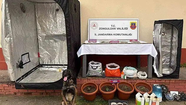 Uyuşturucu operasyonunda 2 şüpheli tutuklandı