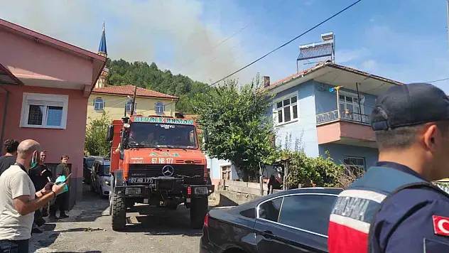 Zonguldak'ta orman yangını