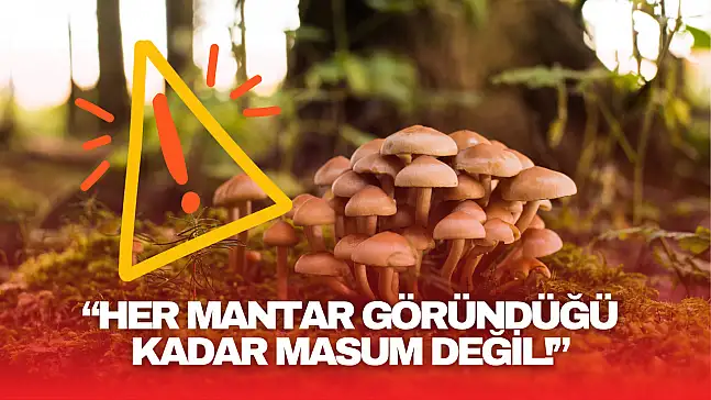 Bartın Valiliği'nden Kritik Uyarı