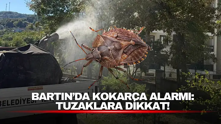 Kokarca Alarmı: Tuzaklara Dikkat!