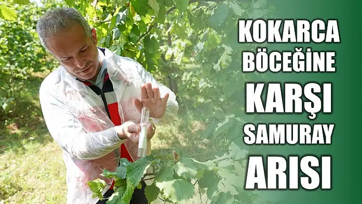 Biyolojik mücadele devam ediyor