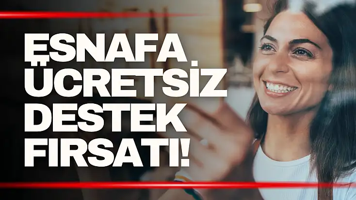 Esnafa Ücretsiz Hibe ve Teşvik Analizi