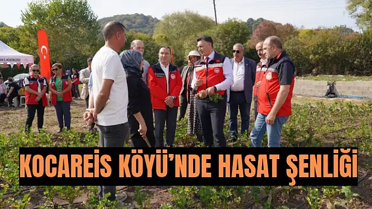 Kerevizde hedef 5 ton