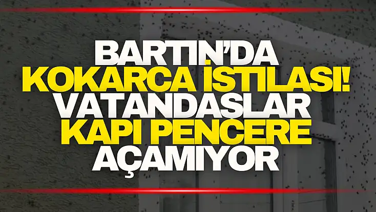 Kokarca İstilası! Vatandaşlar Kapı Pencere Açamıyor
