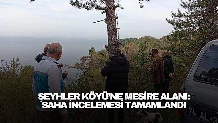 Şeyhler Köyü’ne Modern Mesire Alanı