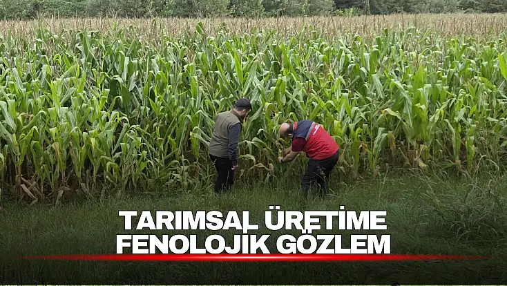Tarımsal Üretim Fenolojik Gözlemlerle Takip Ediliyor