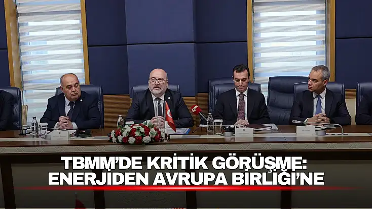 TBMM’de Kritik Görüşme: Enerjiden Avrupa Birliği’ne