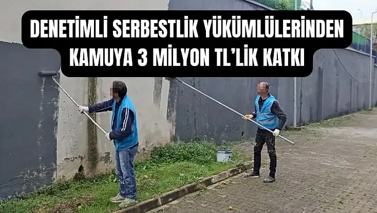 Yükümlüler boyadı, kamu kazandı