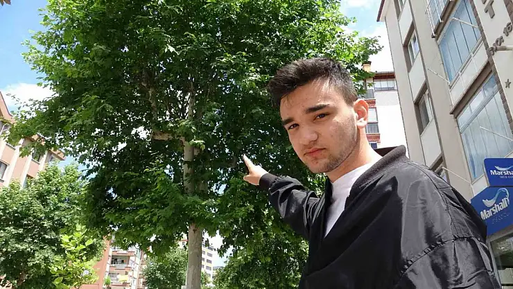 Kamikaze dalışlar yapan karga mahalle sakinlerini bezdirdi