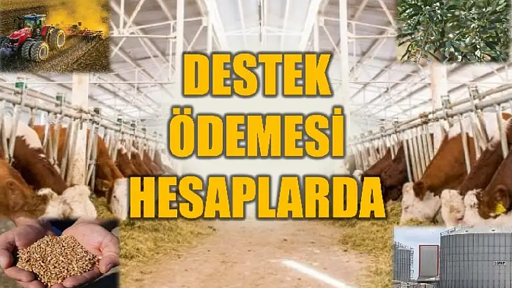 1 milyar 479 milyon liralık ödeme yapıldı